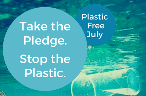 Celebrate Plastic Free July This Summer