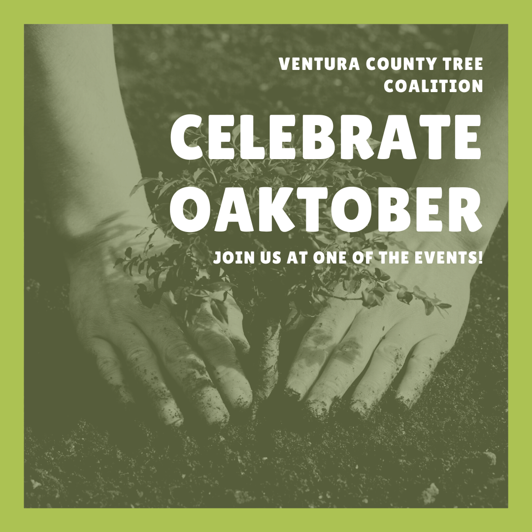 Celebrate Oaktober